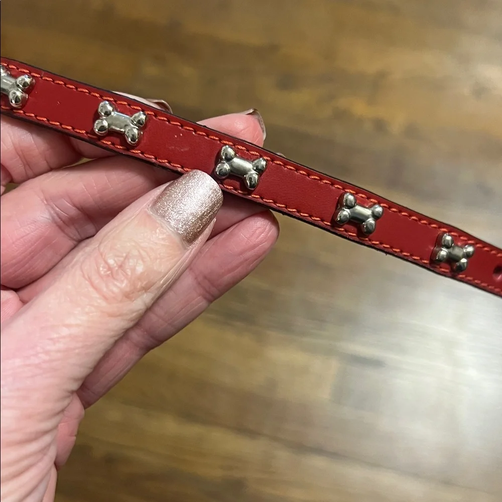 Woof Wear dog collar